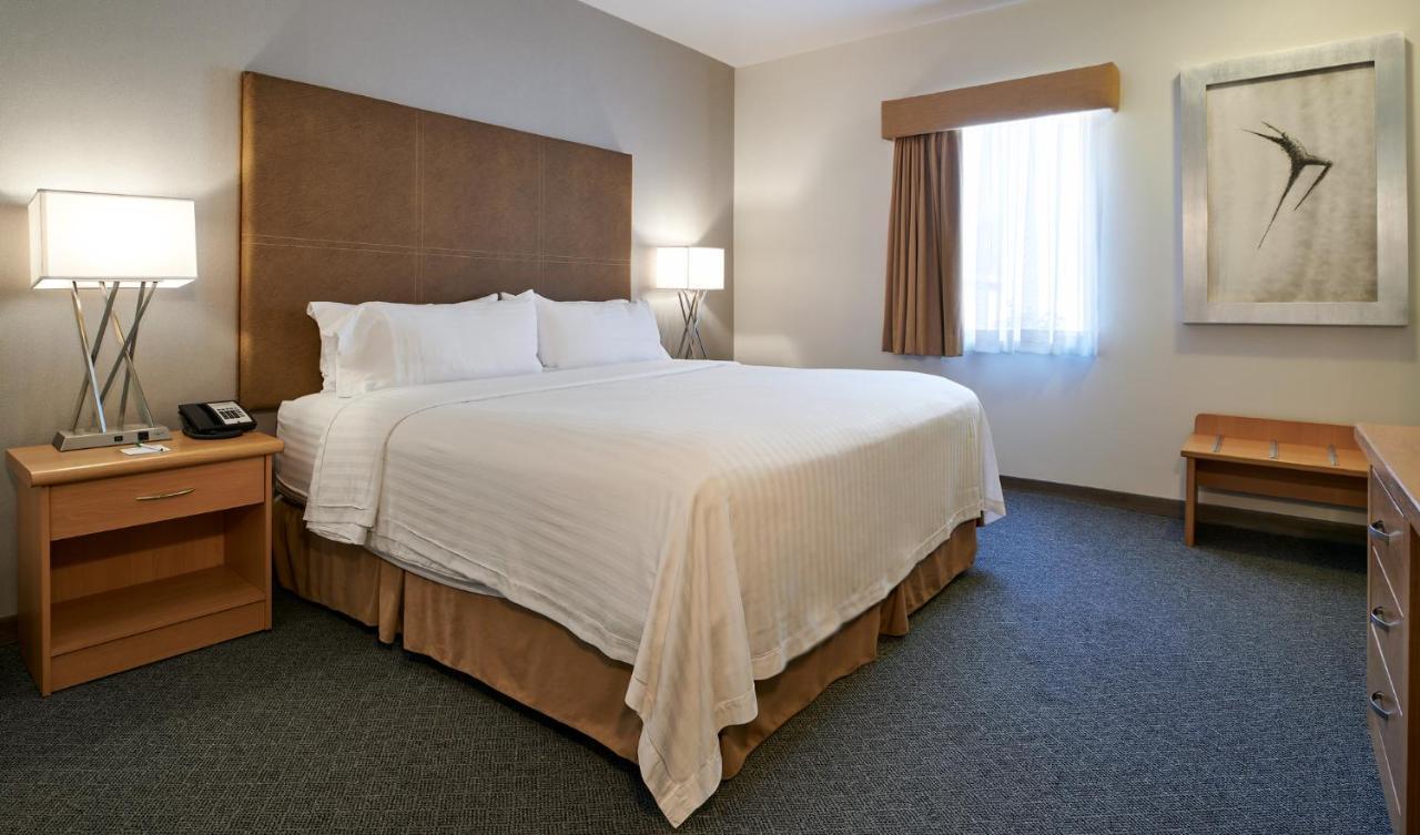 Holiday Inn Hotel & Suites Chihuahua By Ihg Exteriör bild